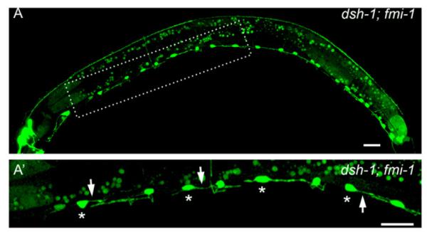 Fig. 9