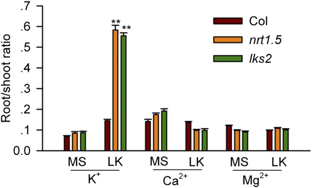 Figure 6.