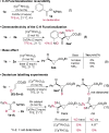 Scheme 3