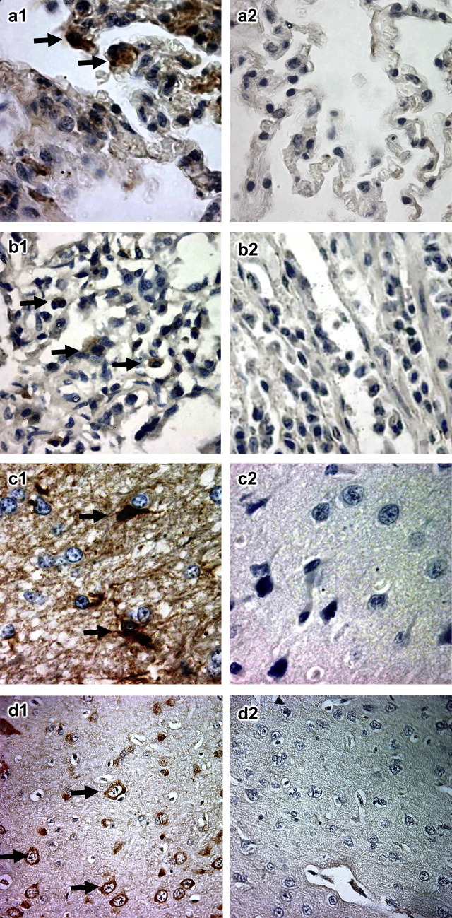 Fig. 2