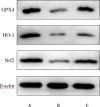Fig 8