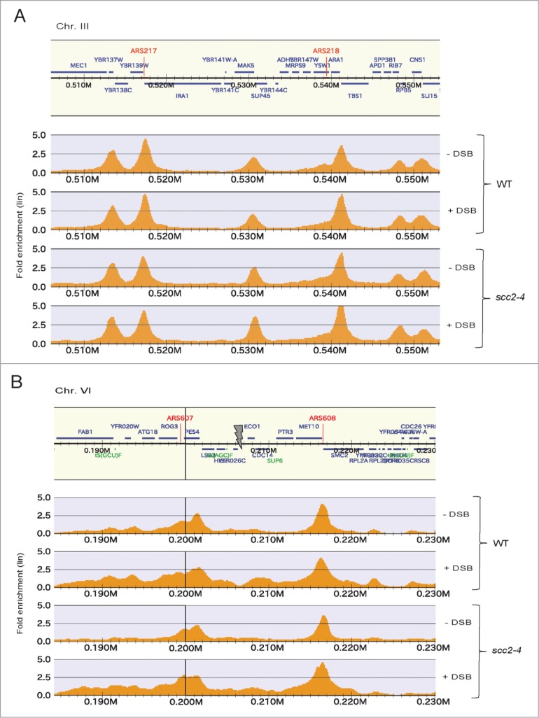 Figure 6.