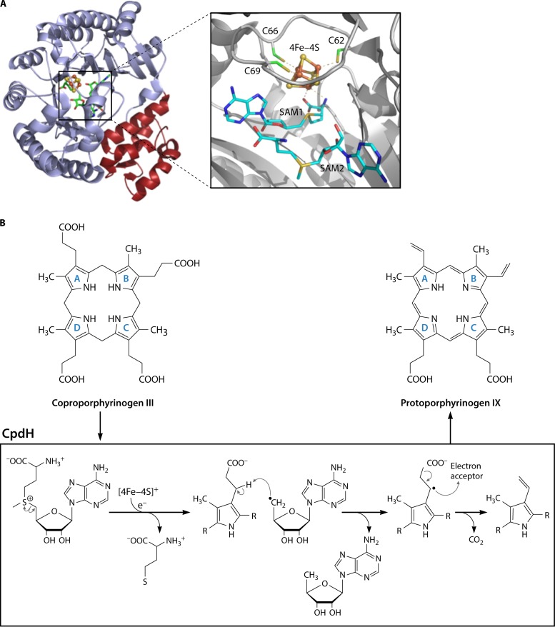 FIG 20