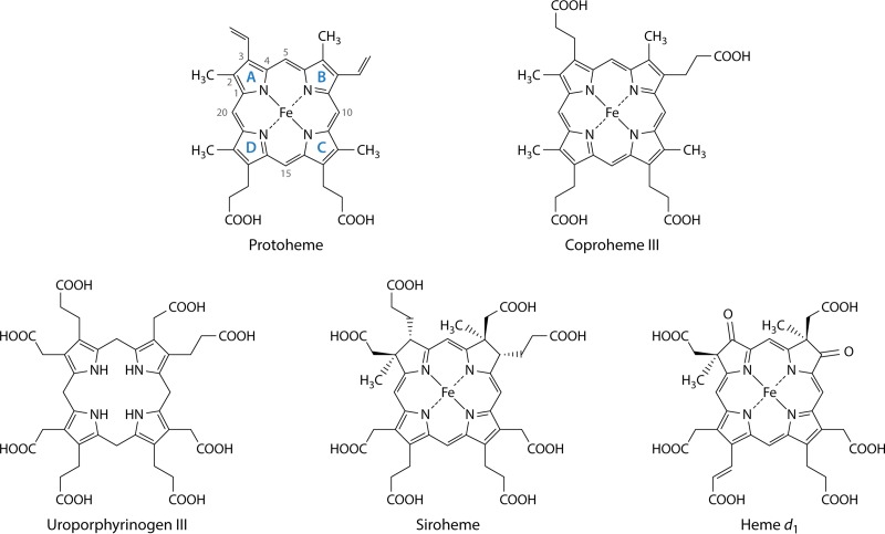 FIG 2