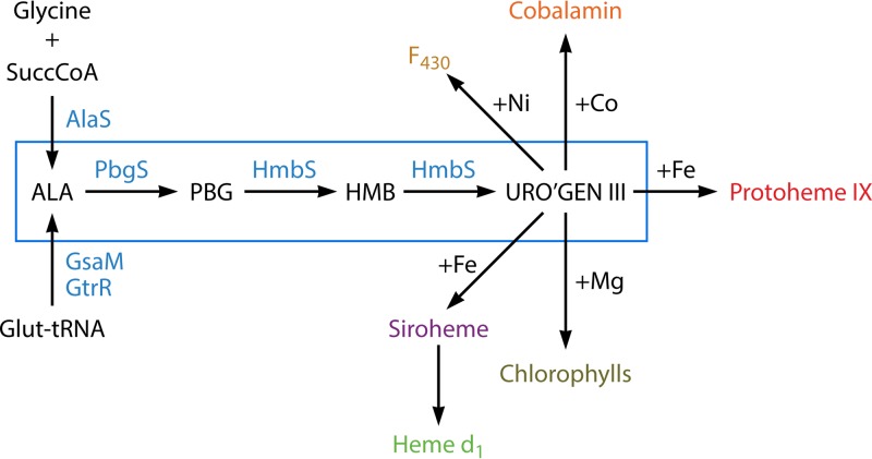 FIG 1