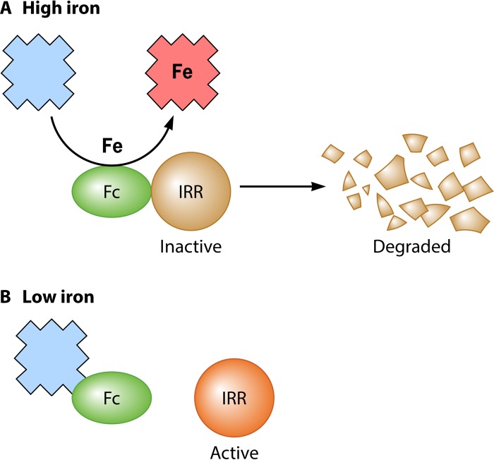 FIG 22