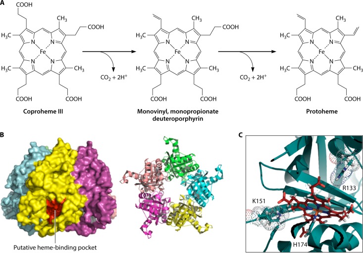 FIG 17