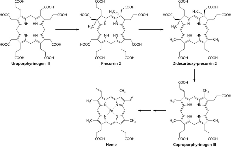 FIG 11