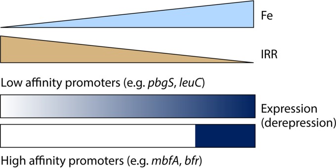 FIG 23