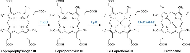 FIG 14