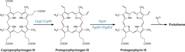 FIG 18