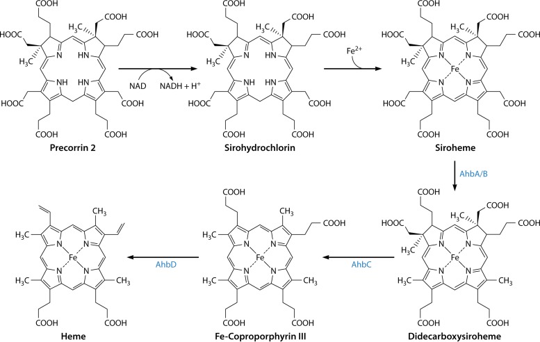 FIG 12