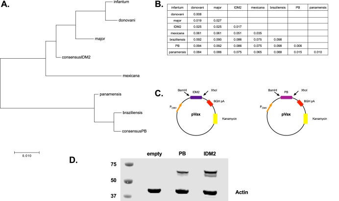 FIG 3