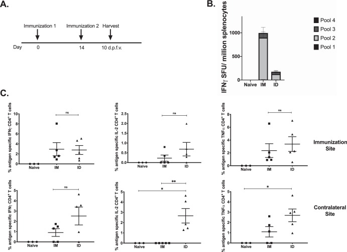 FIG 1