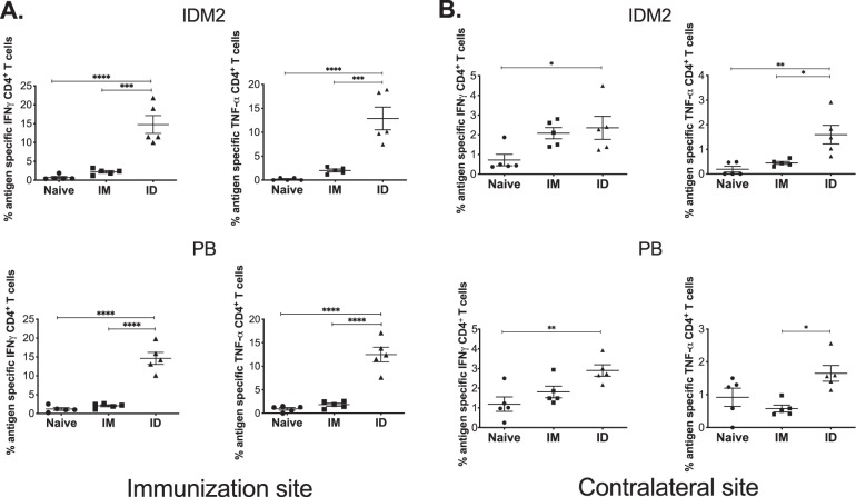 FIG 6