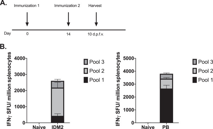 FIG 4