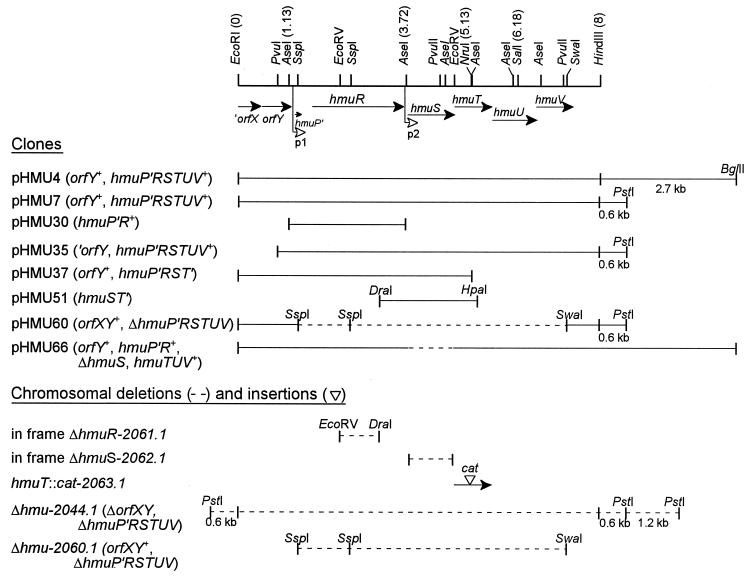 FIG. 1