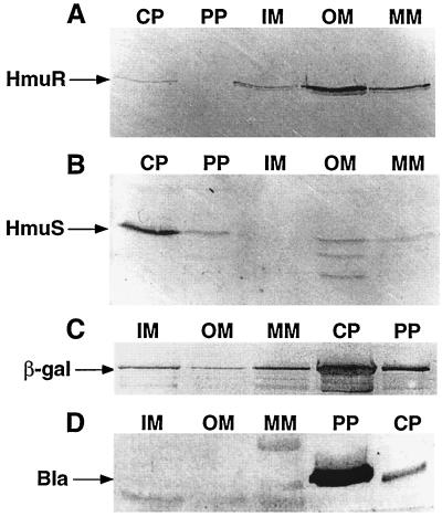 FIG. 5