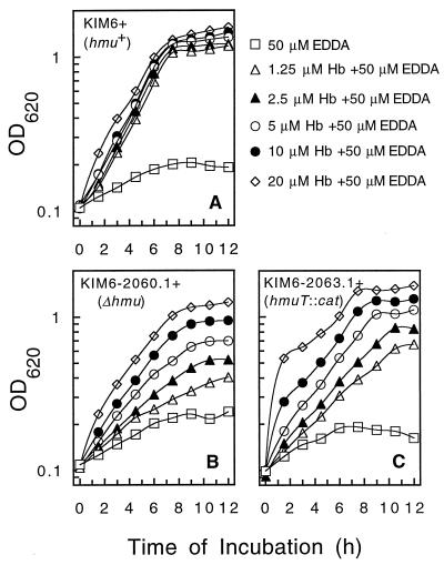 FIG. 7