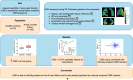 Graphical Abstract