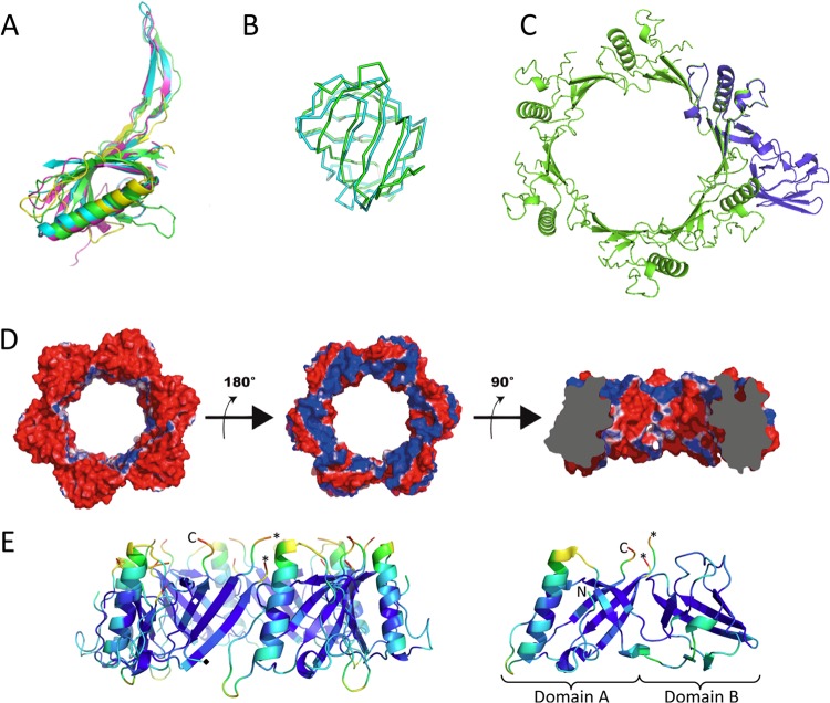 FIG 3