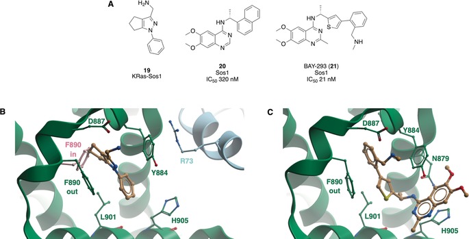 Figure 11