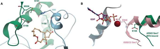 Figure 20