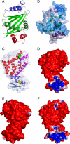 FIGURE 3.