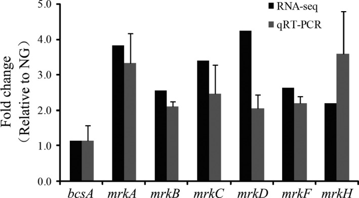 Figure 5