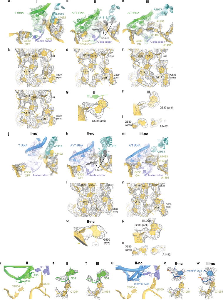 Extended Data Figure 6