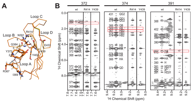 Figure 10.