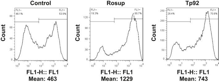 Figure 6