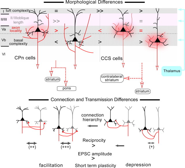 Figure 11.