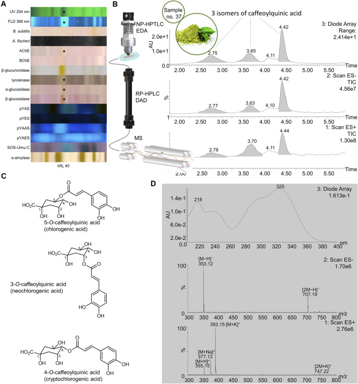 FIGURE 10