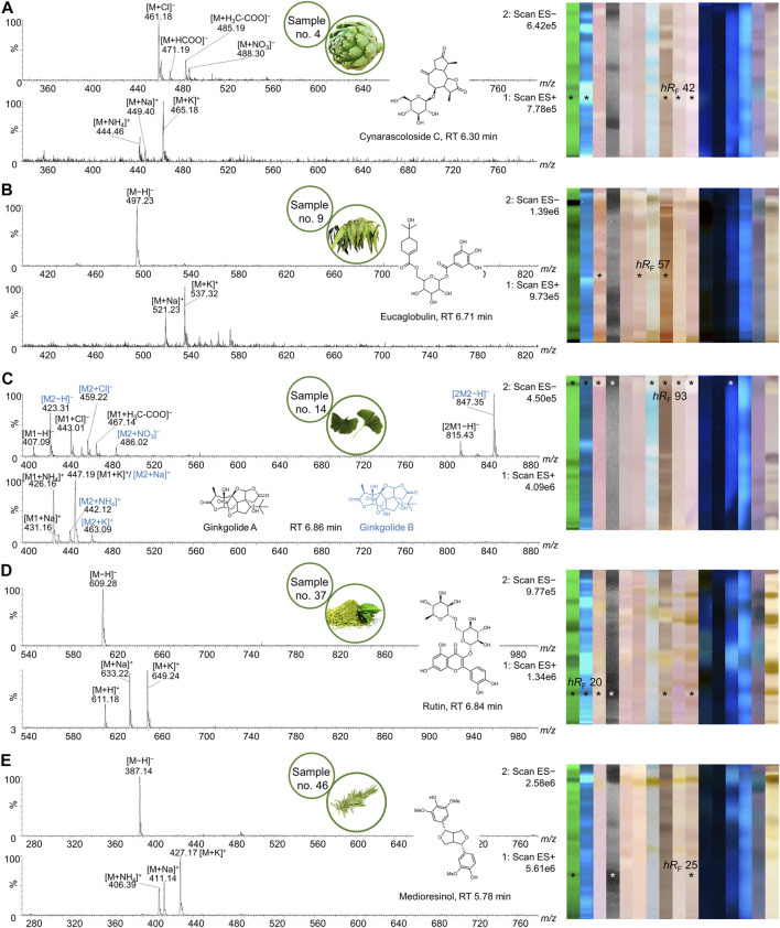 FIGURE 11