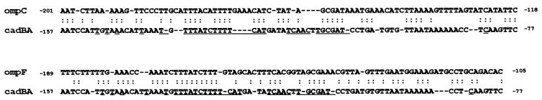 FIG. 6