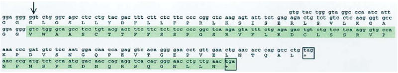 FIGURE S1