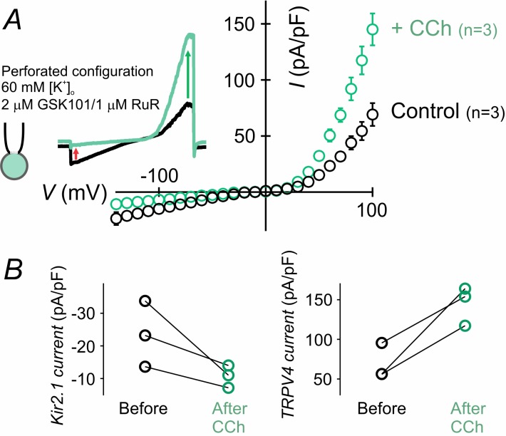 Figure 6—figure supplement 2.