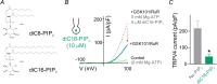 Figure 3—figure supplement 1.