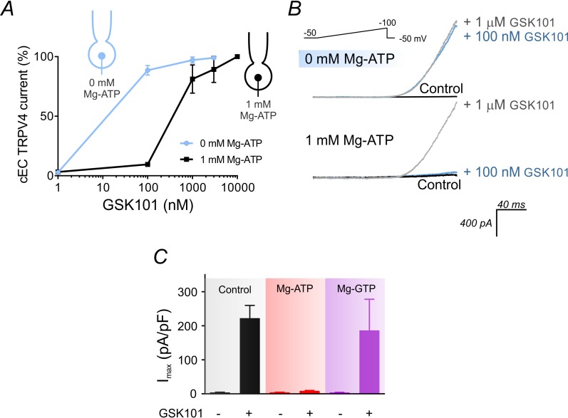 Figure 1—figure supplement 1.