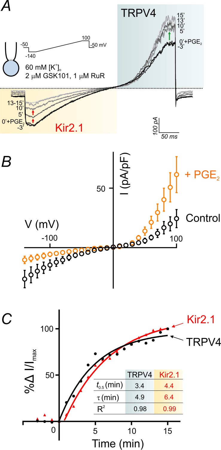 Figure 6.