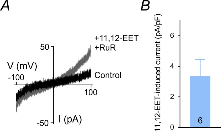 Figure 3—figure supplement 2.