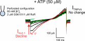 Figure 6—figure supplement 3.