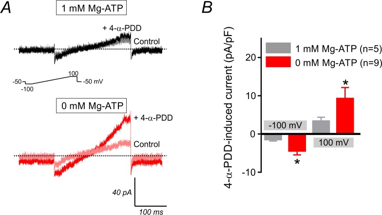 Figure 1—figure supplement 2.