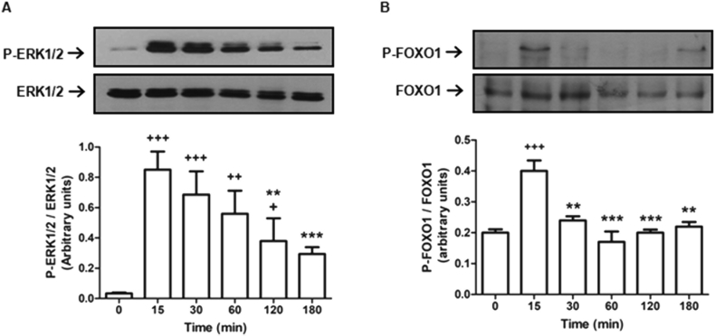 Figure 4