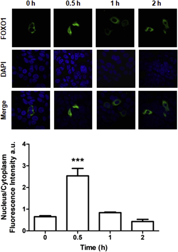 Figure 5
