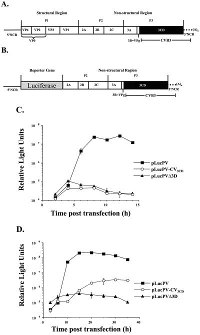 FIG. 5