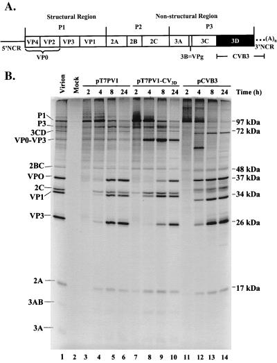 FIG. 1