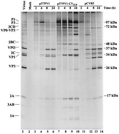 FIG. 6