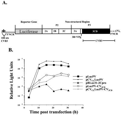 FIG. 7